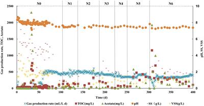 Proteiniphilum and Methanothrix harundinacea became dominant acetate utilizers in a methanogenic reactor operated under strong ammonia stress